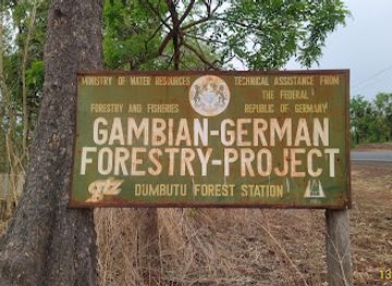 the-gambia/soma/attraction/dumbutu-forest-station