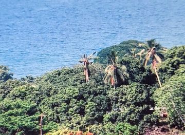 solomon-islands/new-georgia-islands/attraction/american-war-memorial