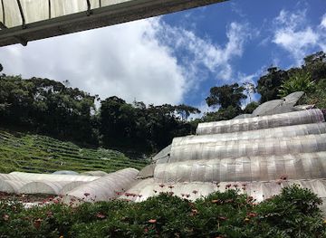 malaysia/pahang/attraction/cactus-valley