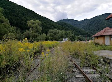 slovakia/banska-bystrica-region/attraction/stanica-ciernohronskej-zeleznicky