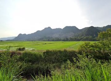 malaysia/perlis/attraction/penghijauan-malaysia-11-mei-2024