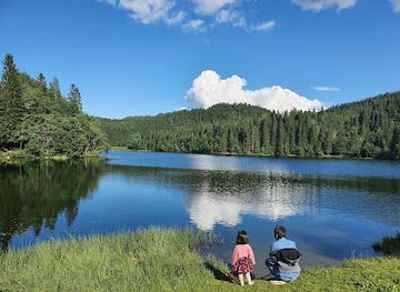 norway/sor-trondelag/attraction/tommerholtdammen