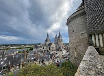 france/loire-valley/attraction/foix-tower