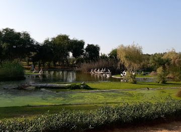 united-arab-emirates/ajman/attraction/wasit-wetland-centre