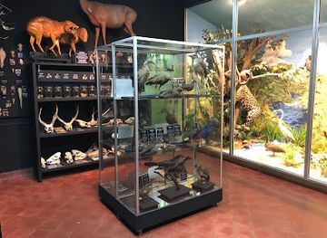 paraguay/northern-paraguay/attraction/museo-nacional-de-historia-natural-del-paraguay