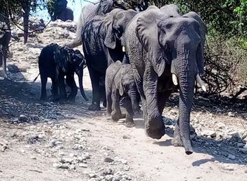 botswana/kasane/attraction/mweenda-travel-agency