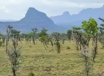 uganda/elgon/attraction/pian-upe-game-reserve-headquaters