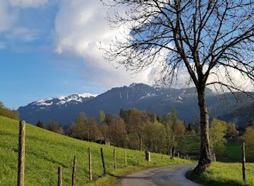 austria/kitzbuhel/attraction/bauernhofmuseum