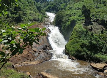 burundi/bujumbura-rural/attraction/bururi-forest-nature-reserve