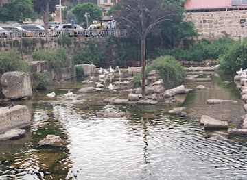 lebanon/baalbek/attraction/public-park