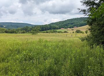 west-virginia/allegheny-highlands/attraction/cathedral-state-park