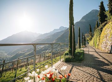 italy/val-venosta/attraction/falknerpromenade