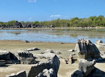 puerto-rico/cabo-rojo/attraction/cueva-del-pirata-cofresi