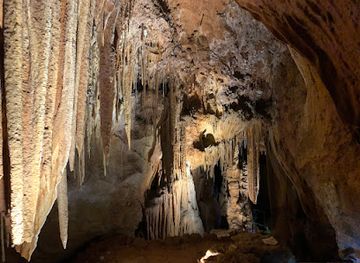 australia/tasmania/attraction/mole-creek-karst-national-park