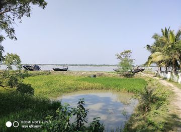 bangladesh/sundarbans/attraction/taki-golpata-forest