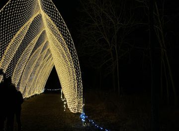 illinois/elgin/attraction/big-timber-brilliance