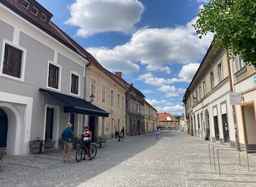 slovenia/maribor-pohorje/attraction/fotografski-muzej-maribor