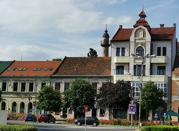 romania/satu-mare/attraction/ascension-cathedral-satu-mare