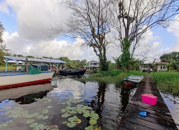 guyana/cuyuni-mazaruni/attraction/grant-three-friends