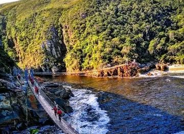 south-africa/tsitsikamma-national-park/attraction/adventure-exploration-south-africa