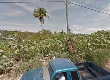 mexico/sayulita/attraction/centro-arqueologico-sayulita