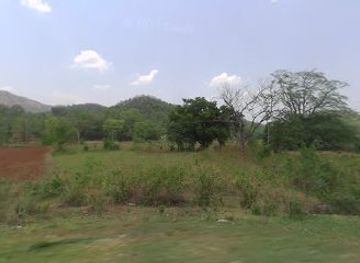 india/jharkhand/attraction/bharat-jodo-tree