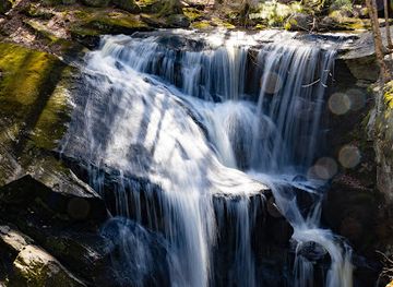 connecticut/windham-county/attraction/enders-state-forest