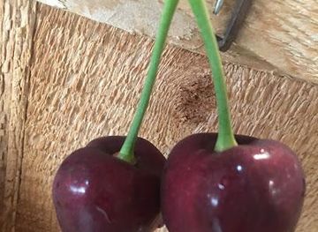 wisconsin/door-county/attraction/seaquist-orchards-farm-market