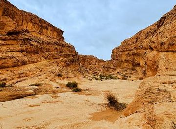 tunisia/tozeur/attraction/djebel-sidi-bouhlel