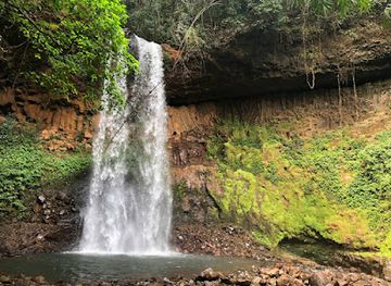 cambodia/mondulkiri-province/attraction/kouprey-roundabout