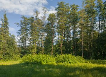 slovenia/maribor-pohorje/attraction/pot-k-mlinu-zahod-west