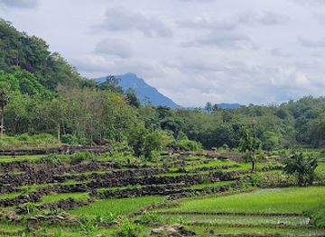 indonesia/highlands-papua/attraction/celebes-canyon