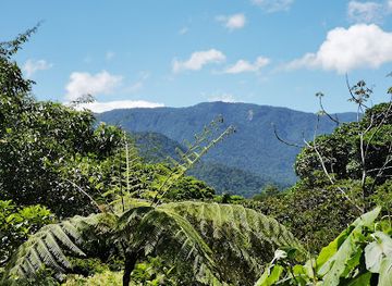 ecuador/santa-elena-region/attraction/children-s-eternal-rainforest