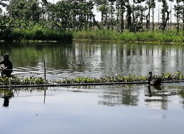 vietnam/mekong-delta/attraction/dong-tam-snake-farm