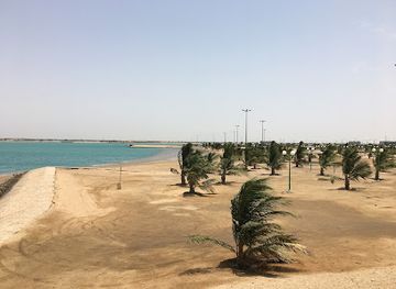 saudi-arabia/yanbu/attraction/al-nawras-island