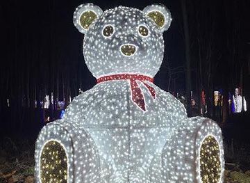 maryland/baltimore/attraction/winter-city-lights