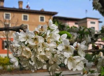 italy/bologna/attraction/acetaia-dei-bago