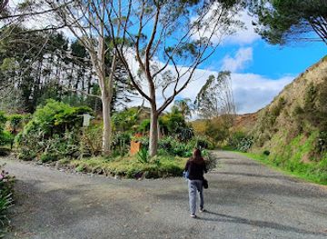 new-zealand/hamilton/hamilton-west/attraction/the-sculpture-park-at-waitakaruru-arboretum