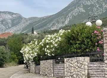 montenegro/bar/attraction/old-olive-tree