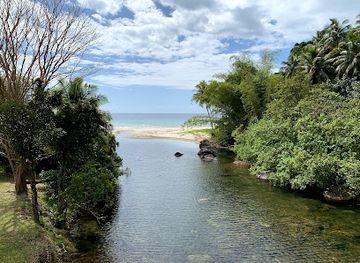 new-caledonia/poum/attraction/cascade-de-colnett