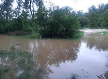 slovenia/prekmurje/attraction/reka-mura