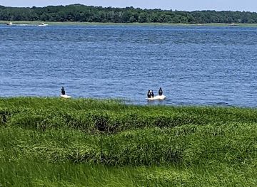 massachusetts/newburyport/attraction/mass-audubon-joppa-flats-education-center