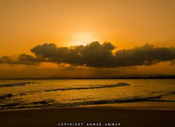 tunisia/hammamet/attraction/plage