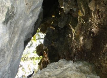 austria/salzkammergut/attraction/schwarzenbachloch