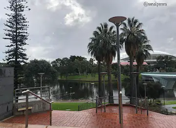 RoofClimb Adelaide Oval