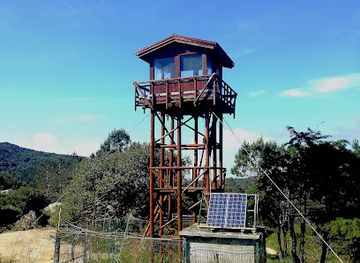 portugal/serra-de-sintra/attraction/pedra-amarela-campo-base