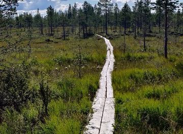 finland/oulanka-national-park/attraction/the-memorial-lean-to-of-kiviaapa-partisan-attack