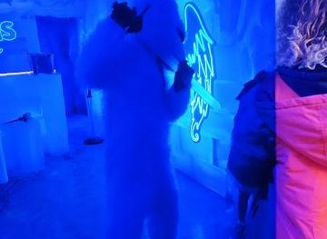 argentina/iguazu-national-park/attraction/dreams-ice-bar