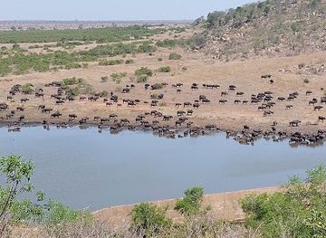south-africa/kruger-national-park/attraction/mlondozi-picnic-site