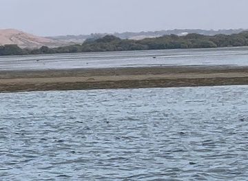 united-arab-emirates/umm-al-quwain/attraction/al-seaneeah